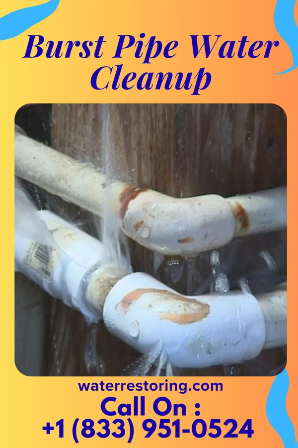 Burst Pipe Water Cleanup in Creston, NE