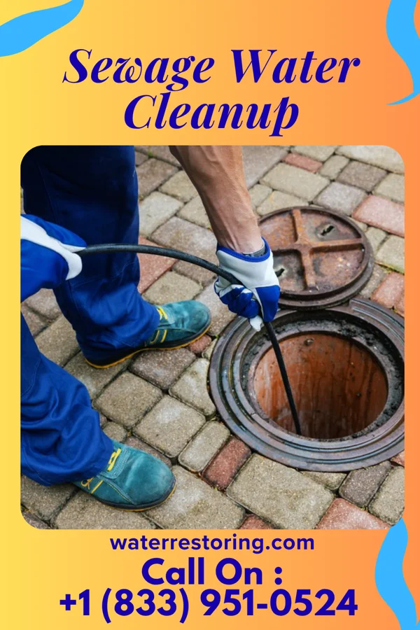 Sewage Water Cleanup in Creston, NE